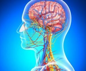 Chiropractic CE Online Courses Tumors of the CNS