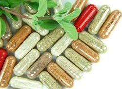 Herbal Supplement Education for Chiropractors