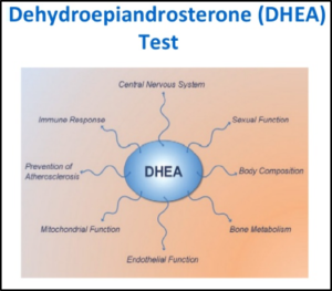 Figure 8 DHEA Blood Test