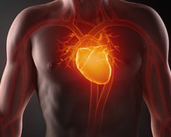 Congestive Heart Failure Course